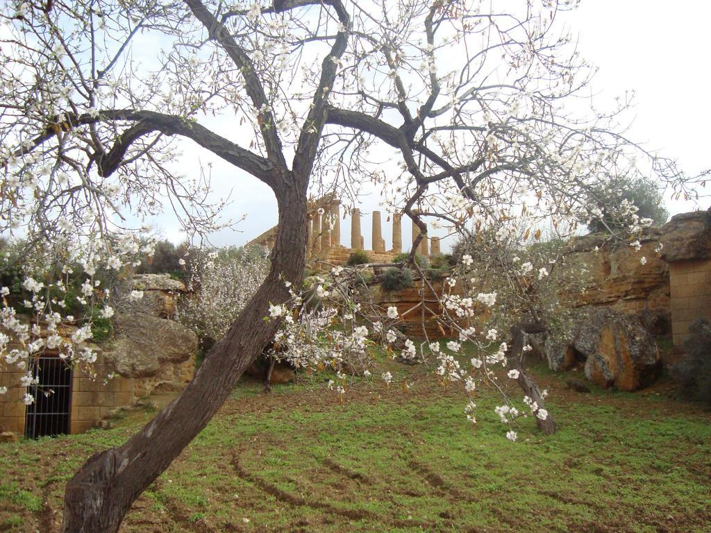 B&B Giarrizzo Licata Dış mekan fotoğraf